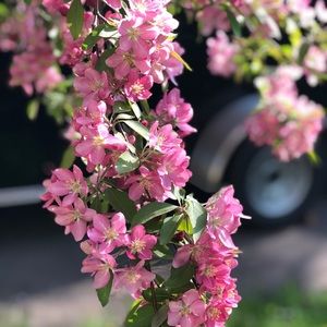 Meet your Posher, Ddebra